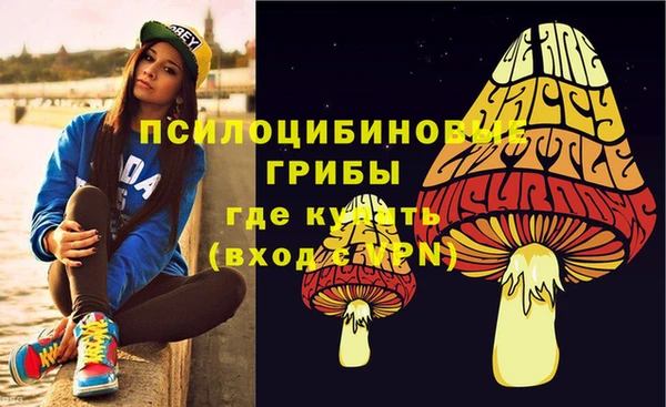 мяу мяу мука Абаза