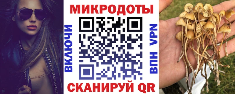 Псилоцибиновые грибы Cubensis  Грязи 