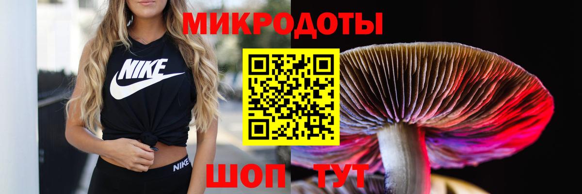 Грязи  Галлюциногенные грибы прущие грибы  Вход с VPN 